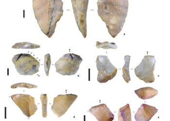 Stone tools