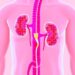 High SERPINE2 Levels Signal Kidney Issues in Diabetes