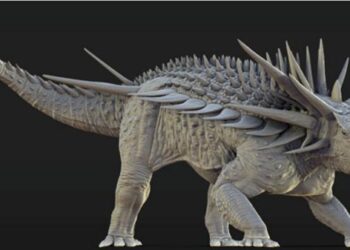 A life reconstruction of Spicomellus afer