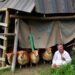 Rural Poverty and Substance Use: Hungary’s Hidden Link