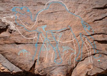 Arabian rock art