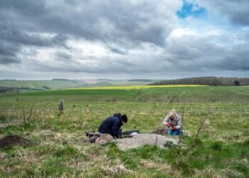 East Chisenbury Midden