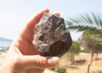 Paleolithic handaxe