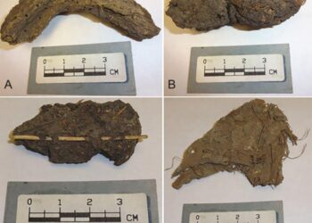 Targeted pathogen profiling of ancient feces reveals common enteric infections in the Rio Zape Valley, 725–920 CE