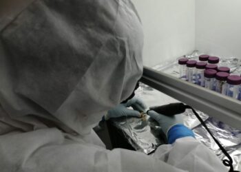 Laboratory analysis at Durham University