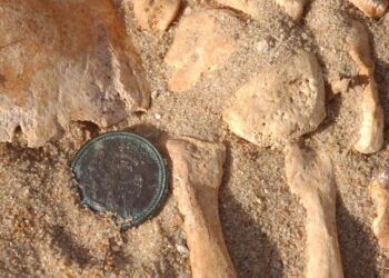 Imperial Guard button discovered during excavation