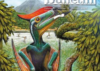 Science Bulletin Cover Article：Is there any herbivorous pterosaur in the deep time?