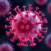 CAR-NK Cell Therapy: Innovations to Clinical Breakthroughs
