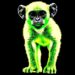 Enhancing MpoxSegNet: Multiclass Monkeypox Segmentation Breakthrough