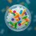 How Microplastic Extraction Affects Biodegradable Polymers