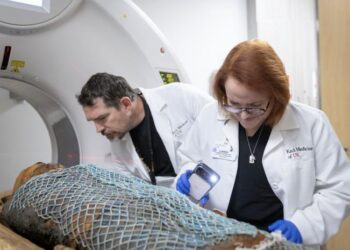 Keck Medicine of USC scans and analyzes two Egyptian mummies to reveal new details about their lifespans, health and life experiences
