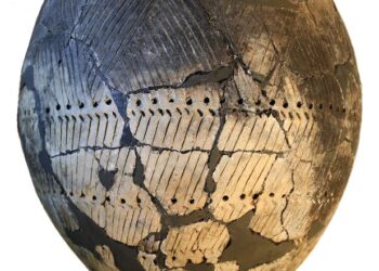 Selective culinary uses of plant foods by Northern and Eastern European hunter-gatherer-fishers