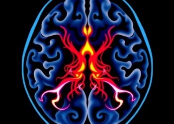 7-Tesla MRI and SVM Advance Parkinson’s Detection — Medicine