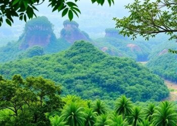 Amazon Understory Forests Experience Temporary Surge in CO₂ Absorption — But at a Significant Environmental Cost — Athmospheric