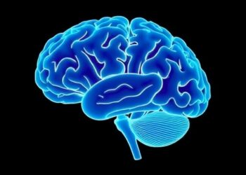 Brain Patterns Predict Rapid Weight Recovery in Anorexia