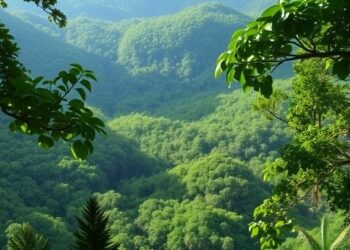 Carbon Credits Have Supported Crucial Tropical Forest Protection—Despite Being Oversold by Tenfold — Technology and Engineering