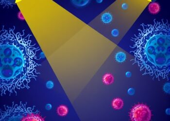 Cells Under the Spotlight: Unveiling Their Inner Secrets