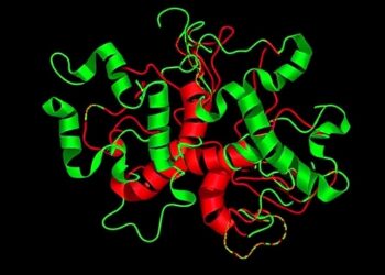 DNMT3B Drives Neuroblastoma Growth, Its Inhibition Fights Tumors — Technology and Engineering