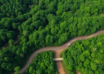 Deforestation Policies Fall Short as Brazilian Amazon Faces an Even Greater Threat — Policy