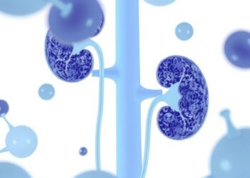 Diabetic Kidney Disease Linked to B Cell-Rich Subgroup — Medicine