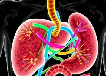 Hepatic Zonation Shapes Mutant β Catenin Tumors