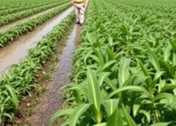 Illinois Scientists Raise Concerns About Field Inundation, Collaborate with Farmers to Develop Solutions — Athmospheric