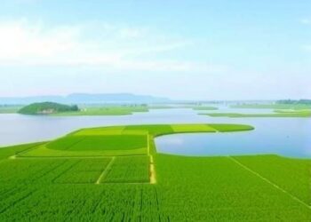 Lake Nutrient Management Boosts Climate Benefits in China — Earth Science