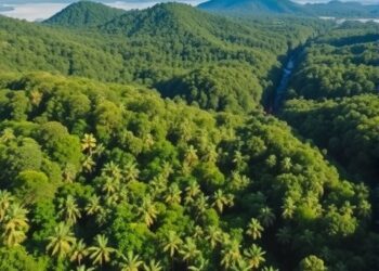 Managed Rainforests Boost Carbon Storage in Congo Basin — Earth Science