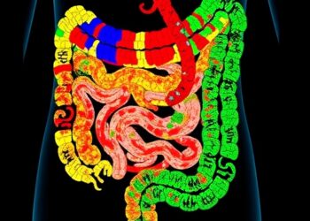 Mapping Inflammatory Bowel Disease with Spatial Transcriptomics — Medicine