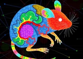 Mapping Mouse Basal Ganglia and Thalamic Circuits — Medicine
