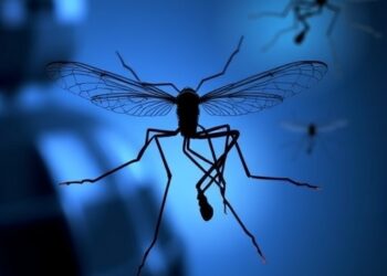 Mapping the Essential Genome of the Malaria Parasite Plasmodium knowlesi