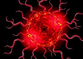 Muribaculaceae Boosts TLR4-Driven Acinetobacter Sepsis — Medicine