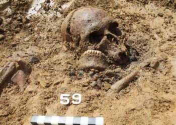 A woman's skull, approximately 1,400 years old