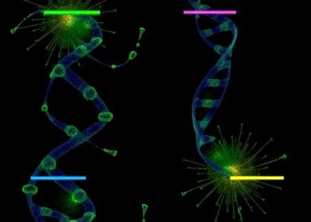New Imaging Tool Uncovers Breakthrough Insights into DNA Replication Stress Response — Cancer