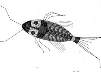 New Systematic Review Uncovers Key Insights into Liver Fluke Transmission Dynamics — Medicine