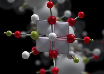 Pretraining Foundation Models for Small-Molecule Natural Products — Technology and Engineering