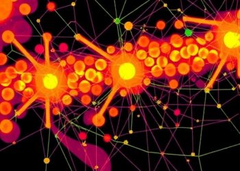 Radioactive Imaging Uncovers Hidden Food Networks in Ant Colonies — Agriculture