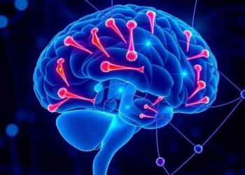 Revealing Hyper Maturity and Rapid Aging in the Hippocampus