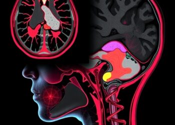 Revolutionizing Medical Image Retrieval with Differential Evolution