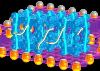 Seamless Bonding and Debonding in 2D Semiconductors