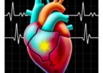 Self-Supervised ECG Model Advances Heart Disease Prediction — Medicine