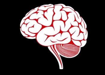 Social Isolation, Loneliness Linked to Brain and Mental Health — Medicine