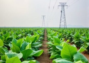 Strategies to Minimize Pollution in Tobacco Farming — Agriculture