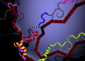Succinate Drives NEC via SUCNR1/HIF-1α/BNIP3 Pathway — Technology and Engineering
