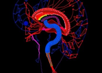 TRPV4 Drives Aminoglycoside Ototoxicity Without Reducing Efficacy