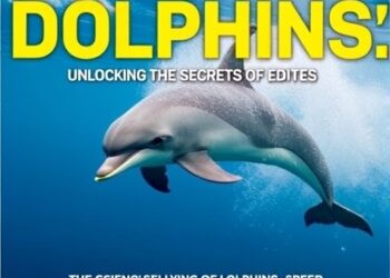 The Science Behind Dolphins’ Speed: Unlocking the Secrets of Eddies — Mathematics
