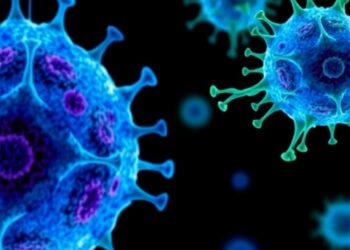 Tracing the Origins of Hodgkin Lymphoma Cells Paves the Way for Improved Diagnostics