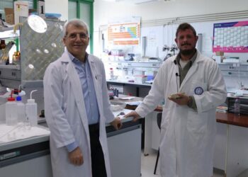 Researchers José Rafael Ruiz Arrebola and Daniel Cosano Hidalgo