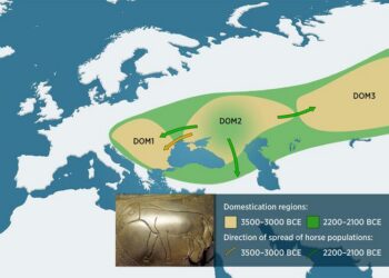 Two time slices, three geographical regions and three horse populations: A complex map of Eurasia.