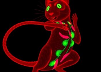 ANXA11 Suppression Restores Muscle in DMD Mice — Medicine